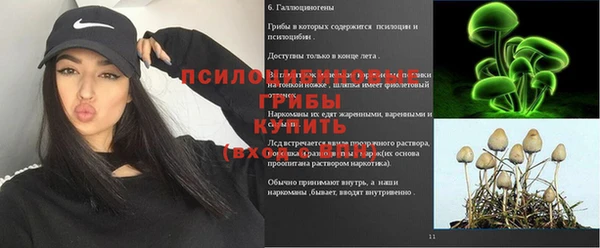мескалин Алексин