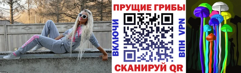 ОМГ ОМГ как войти Пучеж Галлюциногенные грибы GOLDEN TEACHER